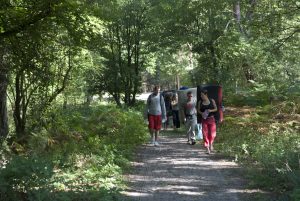 Walking in for another days climbing in the forest of Fontainebleau