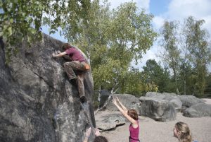Climbing in the forest.