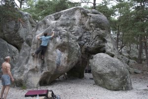 L'elephant
